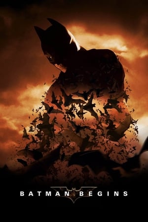 Batman Begins (2005) Hindi Dual Audio Bluray 720p [980MB] Download - Movierulz