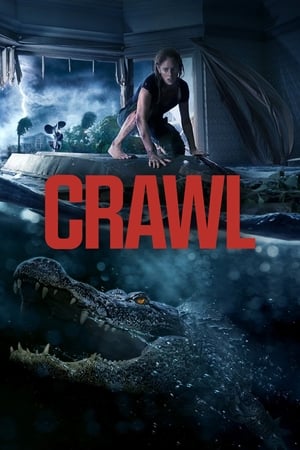 Crawl (2019) Hindi Dual Audio 480p Web-DL 300MB - Movierulz
