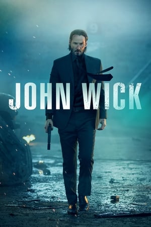 John Wick (2014) Hindi Dual Audio 720p BluRay [900MB] ESubs - Movierulz
