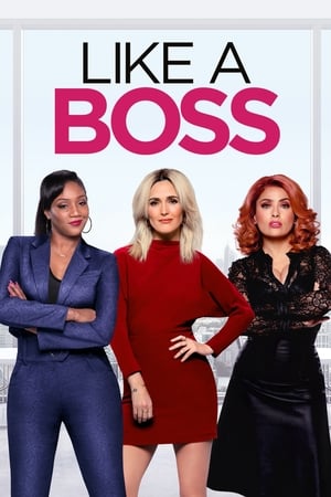 Like a Boss (2020) Hindi Dual Audio 480p Web-DL 300MB - Movierulz