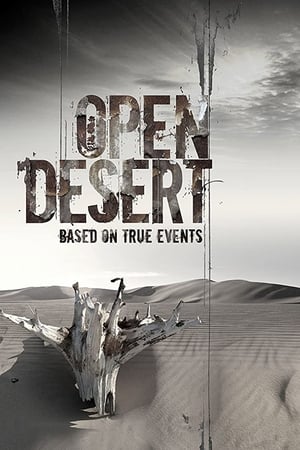 Open Desert (2013) Hindi Dual Audio HDRip 720p – 480p - Movierulz