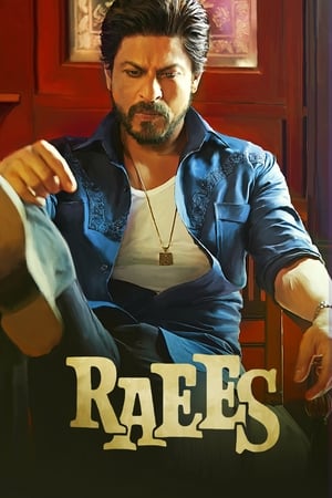 Raees (2017) 400MB Full Movie 480p DVDRip Download - Movierulz