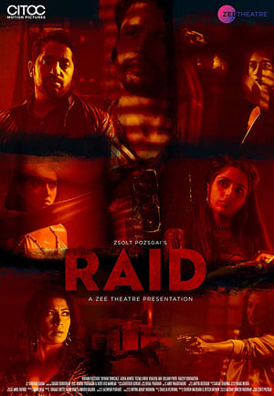 Raid 2019 Hindi Movie 480p HDRip - [250MB] - Movierulz