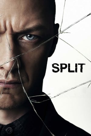 Split (2017) Full Movie Download [HD-TS] 450MB - Movierulz