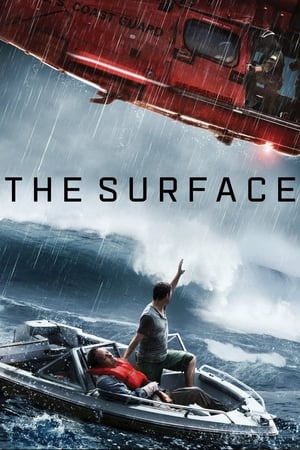 The Surface (2014) Hindi Dual Audio 480p Web-DL 300MB - Movierulz