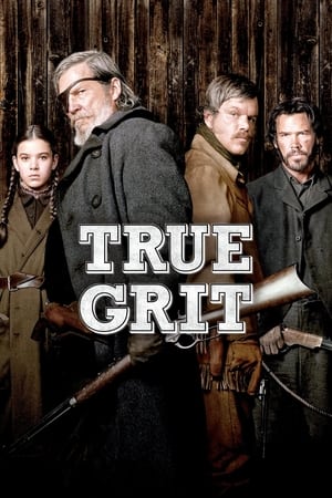 True Grit (2010) Hindi Dual Audio 720p BluRay [950MB] - Movierulz