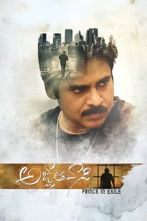 Yevadu 3 (Agnyaathavaasi) 2018 Movie Dual Audio Hindi 720p UnCut HDRip [1.5GB] - Movierulz